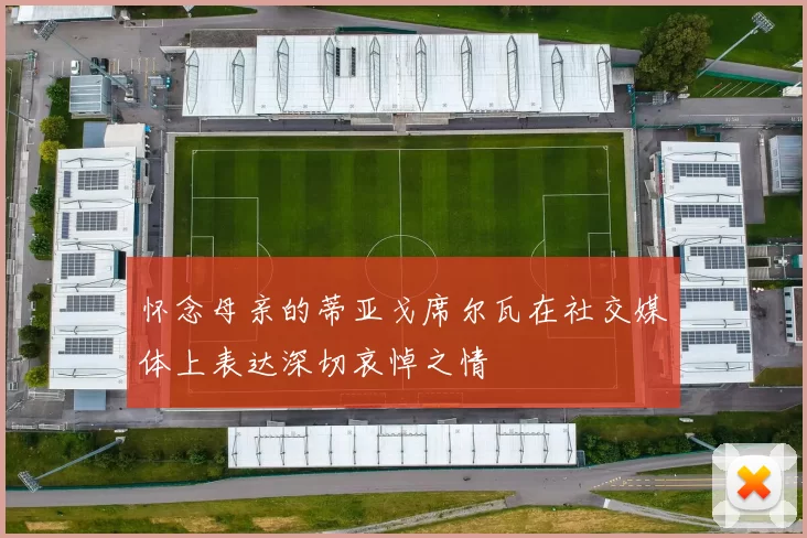 怀念母亲的蒂亚戈席尔瓦在社交媒体上表达深切哀悼之情